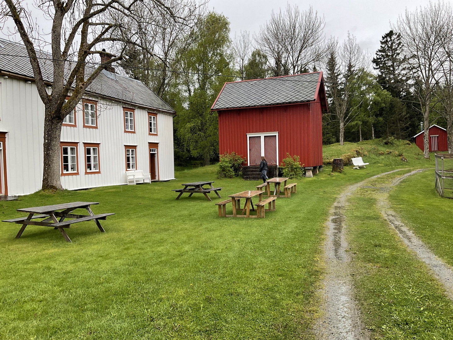 Årets tur for frivillige gikk til Ytterøya